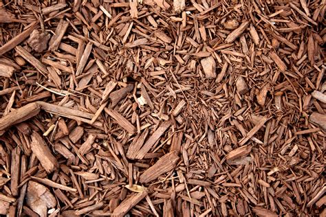 Mulch with wood chips. Things To Know About Mulch with wood chips. 
